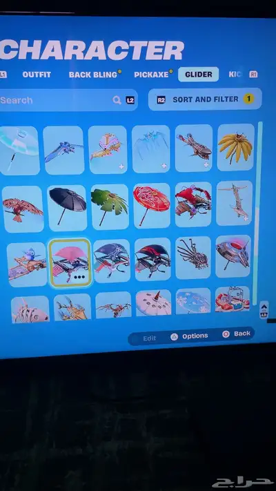 حساب فورت نايت 13