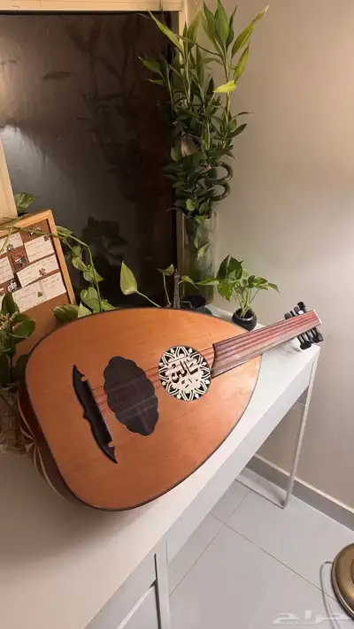 عود سالمين كويتي 3