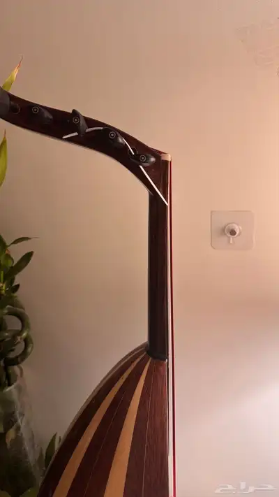 عود سالمين كويتي 2