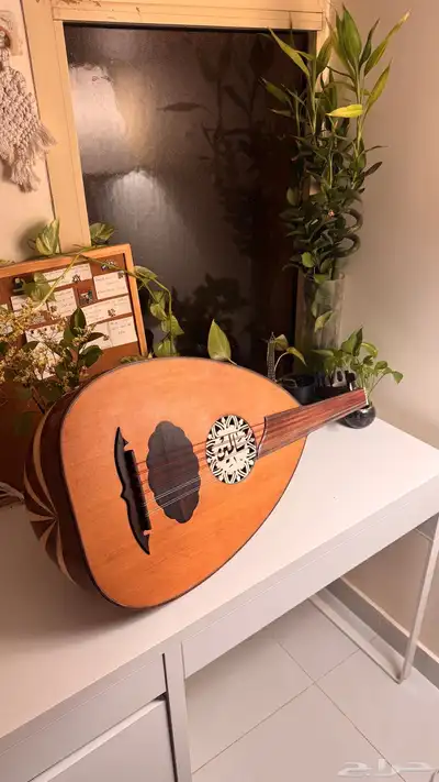 عود سالمين كويتي 4