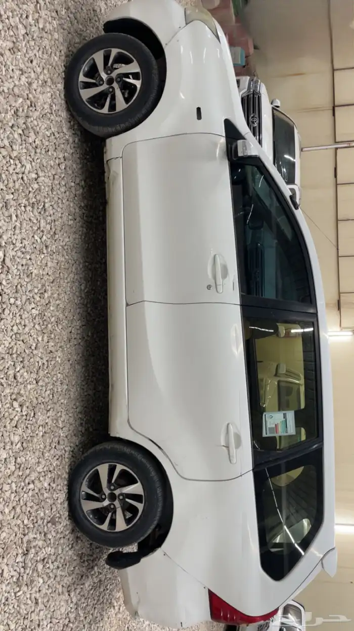 افانزا سعودي 2017 5