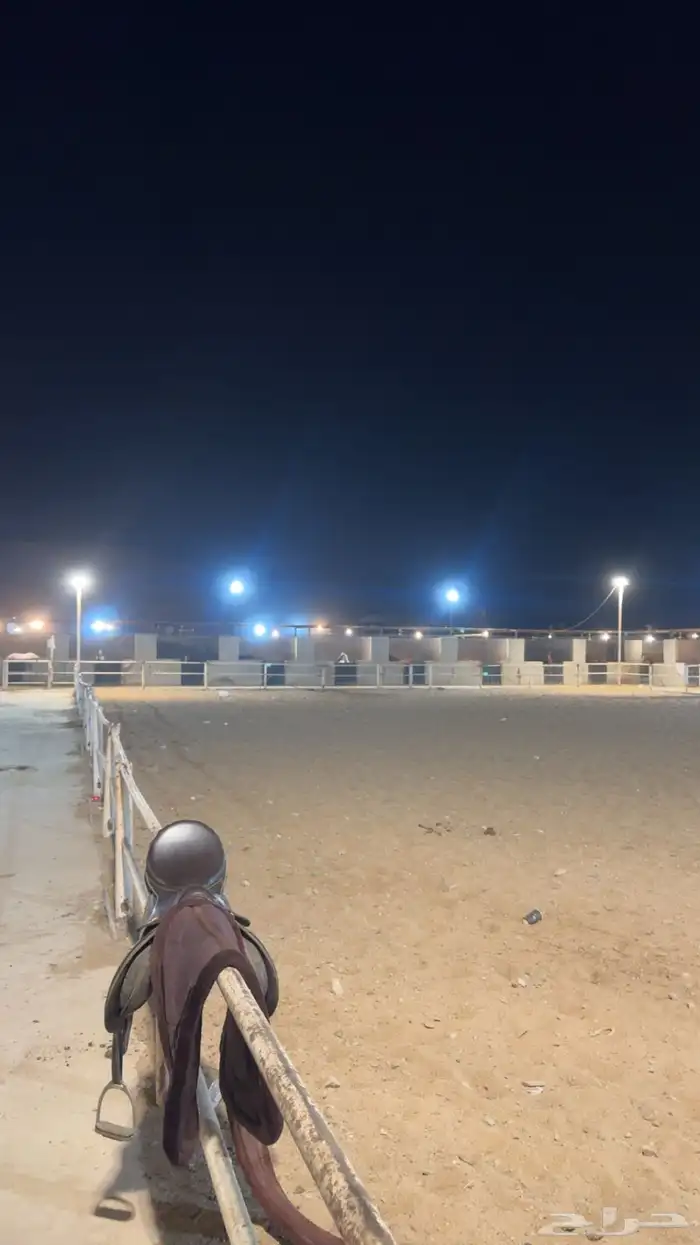 ايواء مربط صهيل الاصيل اسطبل شمال جدة الوليد 1