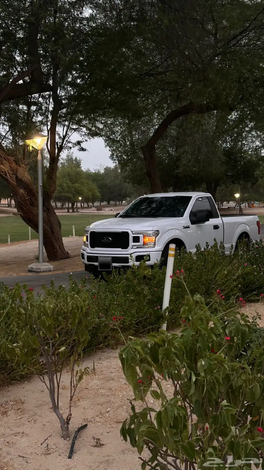 فورد F-150 2018 XL V8 index