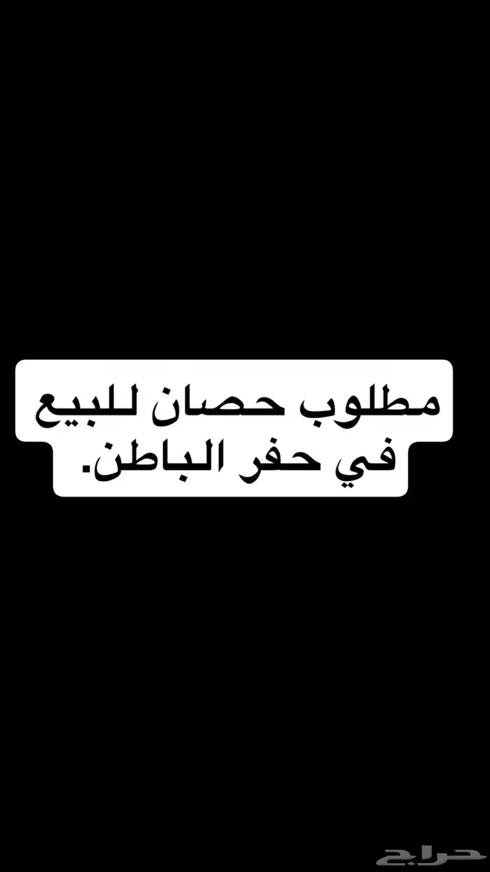 مطلوب خيل في حفر الباطن 0