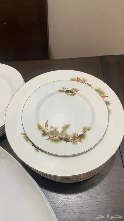 صحون سراميك (طقم سفره) 9