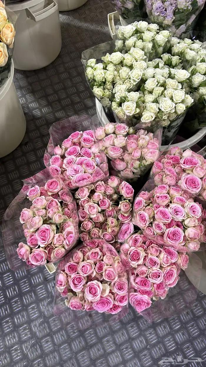 ورد طبيعي بسعر الجمله 2