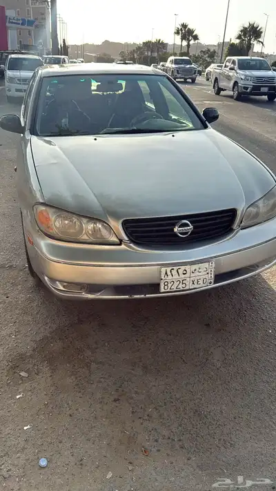 مكسيما 2004 2
