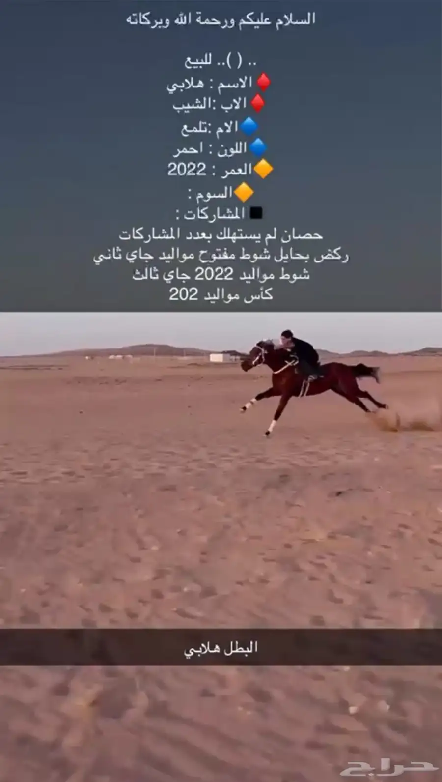 حصان النوع انقليزي index