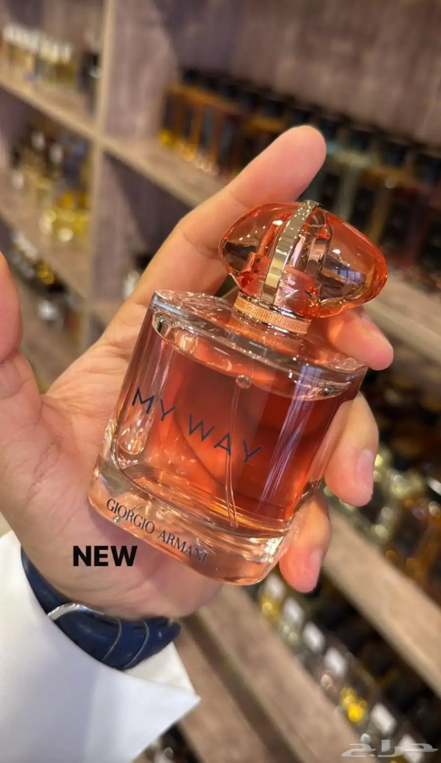 جميع العطور الحصريه النيش جميعه متوفره index