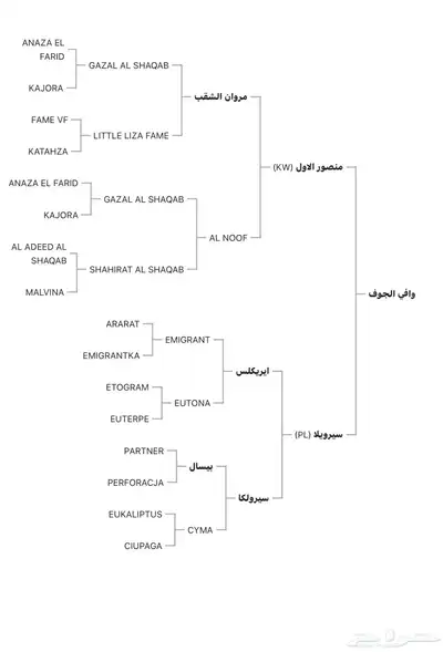 السلام عليكم اعرض لكم حصان واهو 1