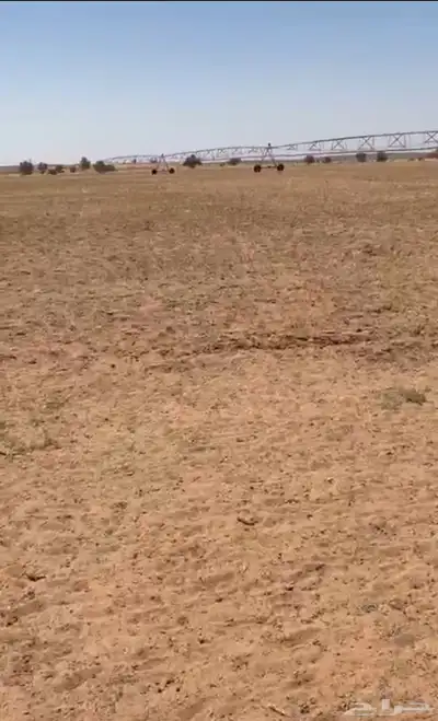 مزرعة للبيع في جانين فيها بير ورشاش 3