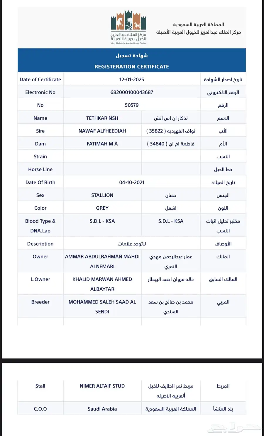 حصان فحل فاخر للبيع index