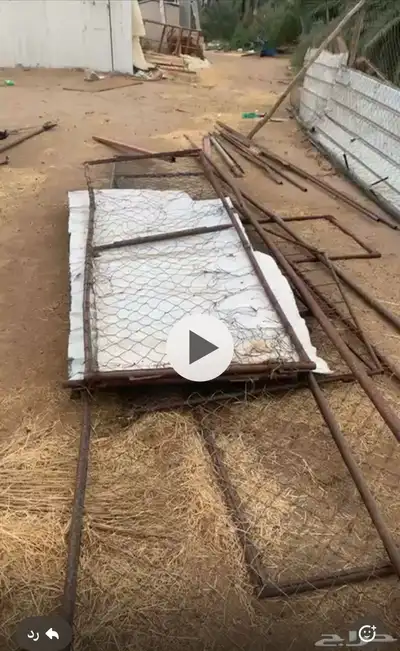 شبوك مع مرابيع هنقر الهل الحلال و2 شبك دجاج 3