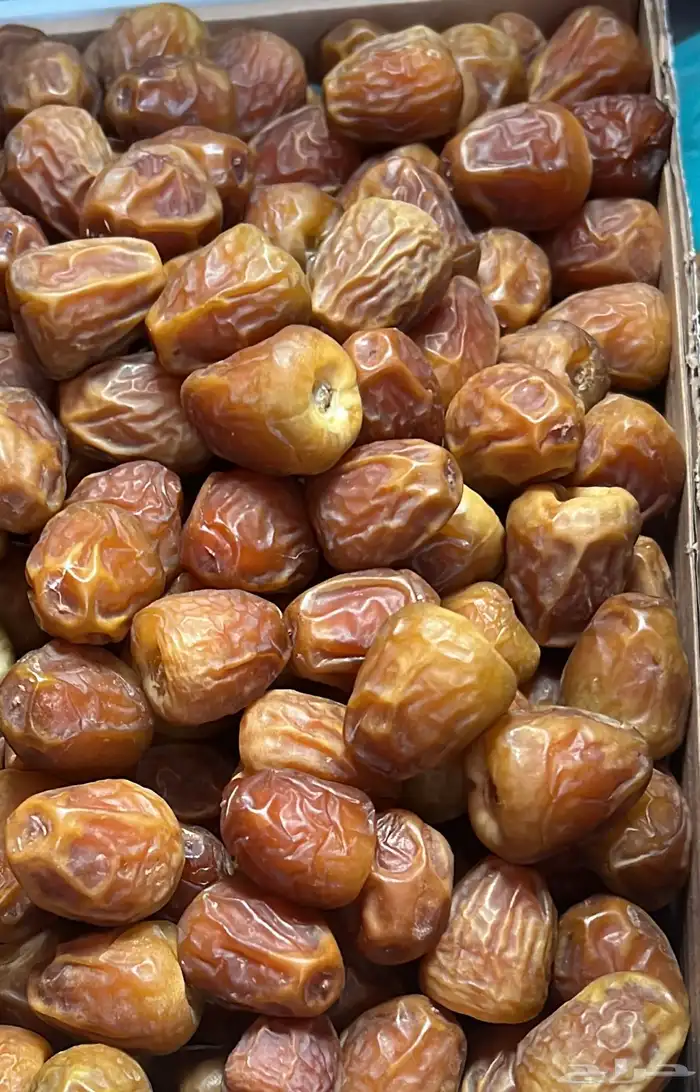 متوفر لدينا جميع انواع التمور 4