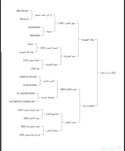 حصان فحل فاخر للبيع 6
