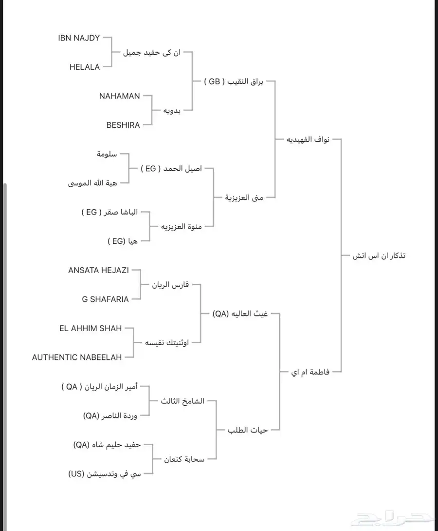 حصان فحل فاخر للبيع index