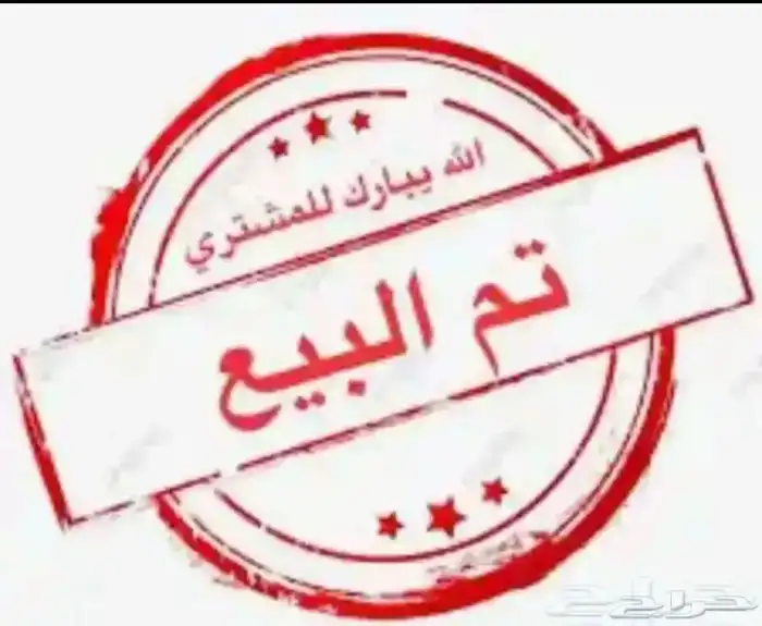 كروان لاتينو (تم البيع خارج الموقع) 0