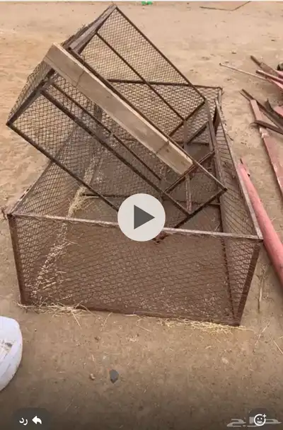 شبوك مع مرابيع هنقر الهل الحلال و2 شبك دجاج 2