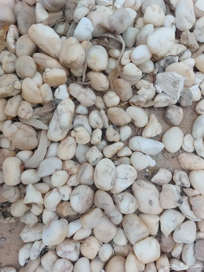 حجر زينة حجر نهري كسر الرخام جميع أنواع حجر الزينة 4