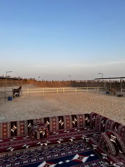 مربط سما للخيل العربيه الاصيله 1