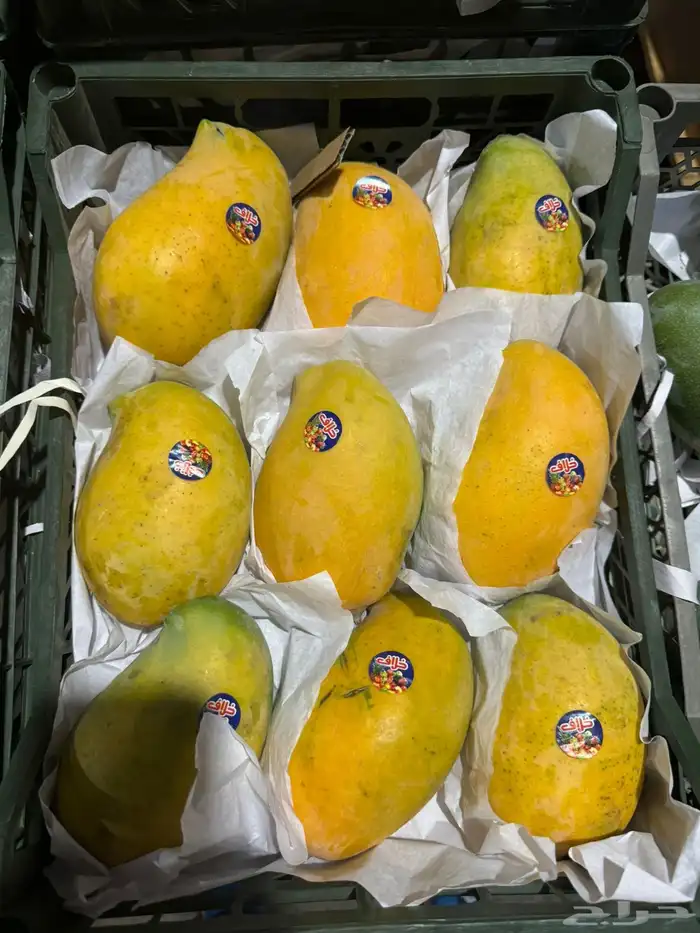 البيع بالجملة خضار وفواكه 0
