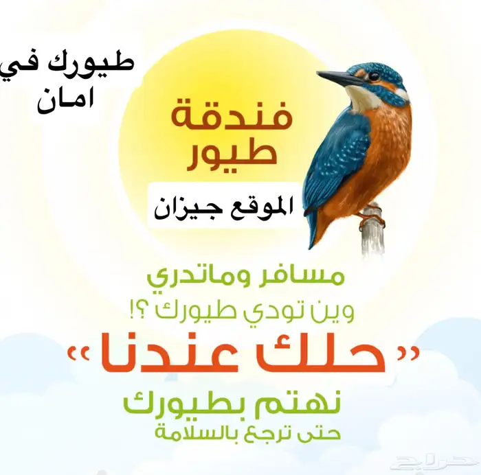 فندقه لجميع انواع الطيور 0