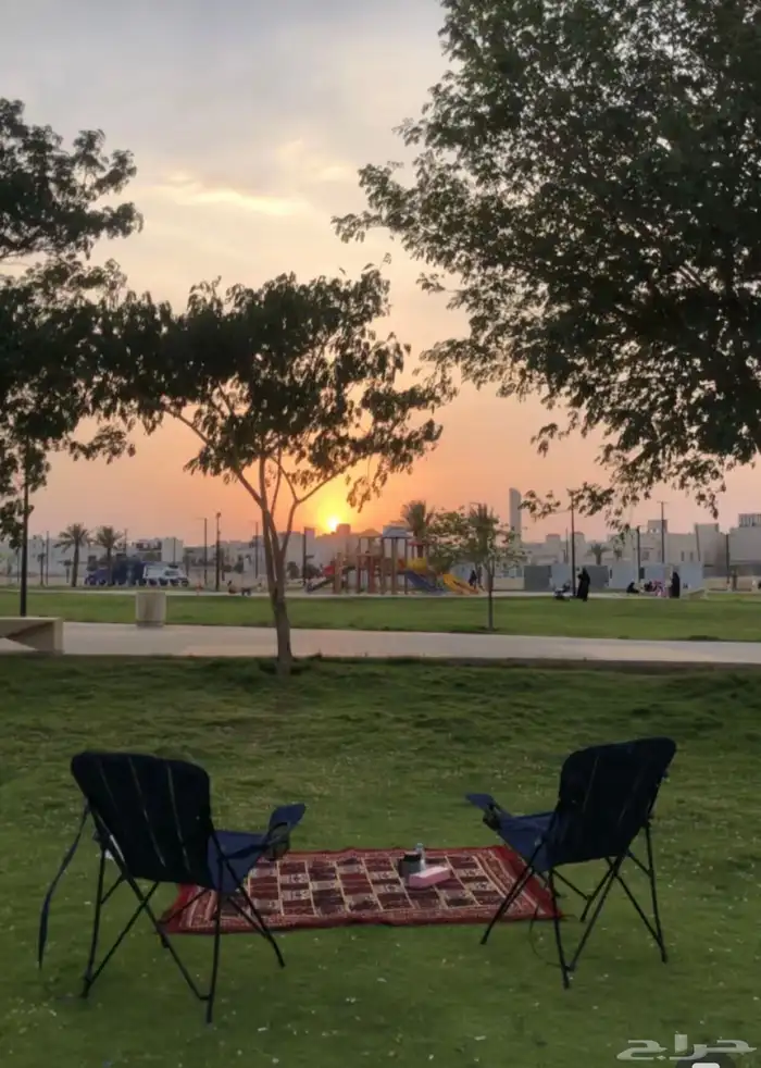 عدد 2 كراسي للنزهة والرحلات 0