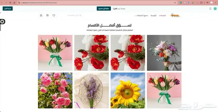 تصميم وبرمجة متجر إلكتروني على سلة - زد - Wordpress 33
