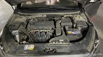 نص فل الممشى 240 7