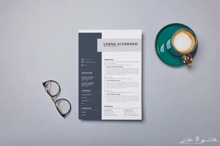 سيرة ذاتية  سي في CV 6
