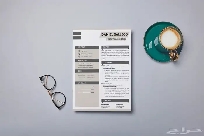 سيرة ذاتية  سي في CV 3