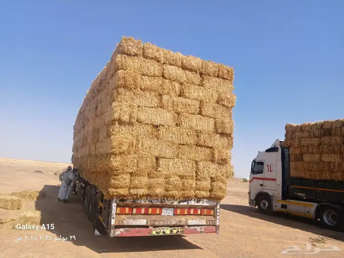 تبن حويل طيب بالحيل ناعم (الدفع عند الوصول ) 3