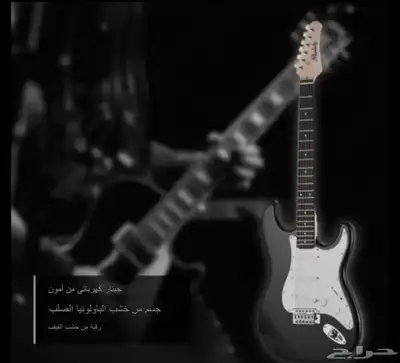 قيتار كهربائي فينيل 4