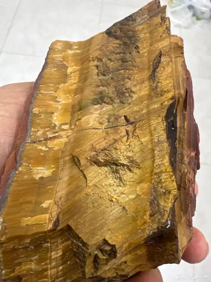 عين النمر قطعة خام 0