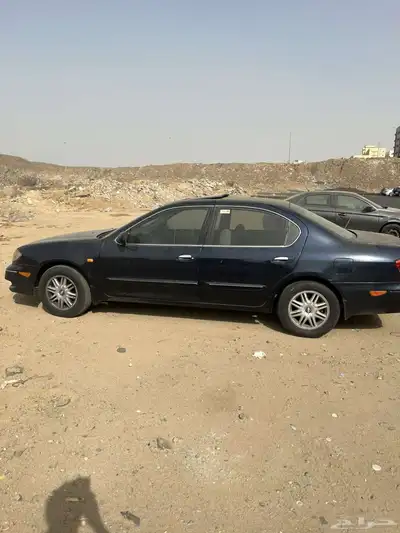 مكسيما موديل 2000 للبيع 10