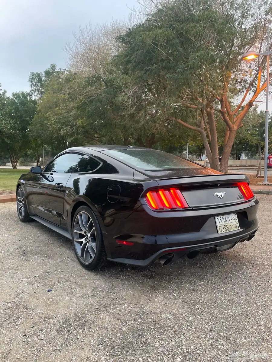 2015 MUSTANG index