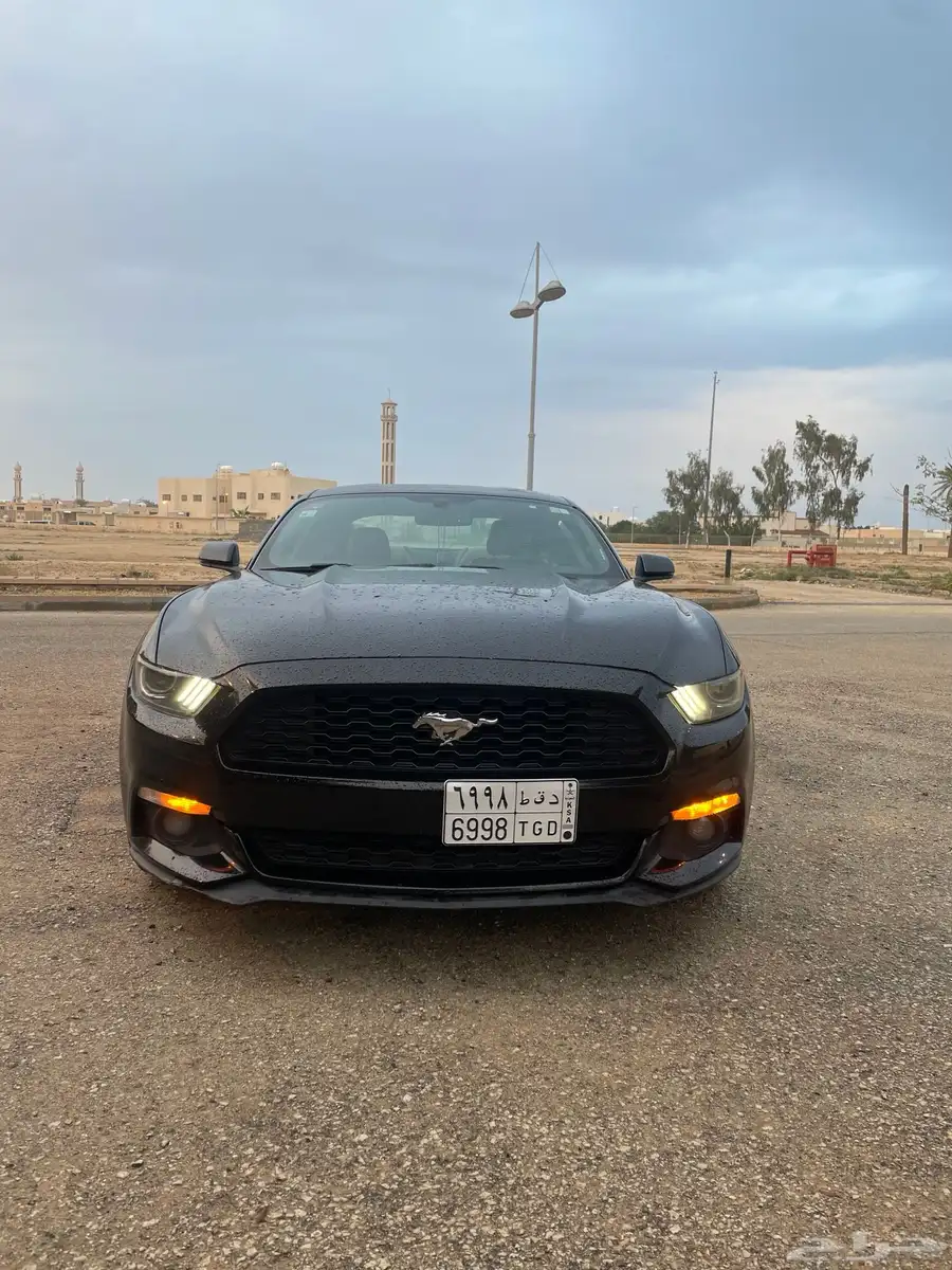 2015 MUSTANG index