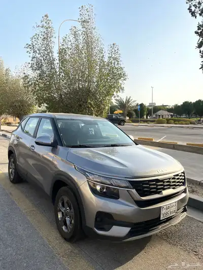 سيلتوس 0