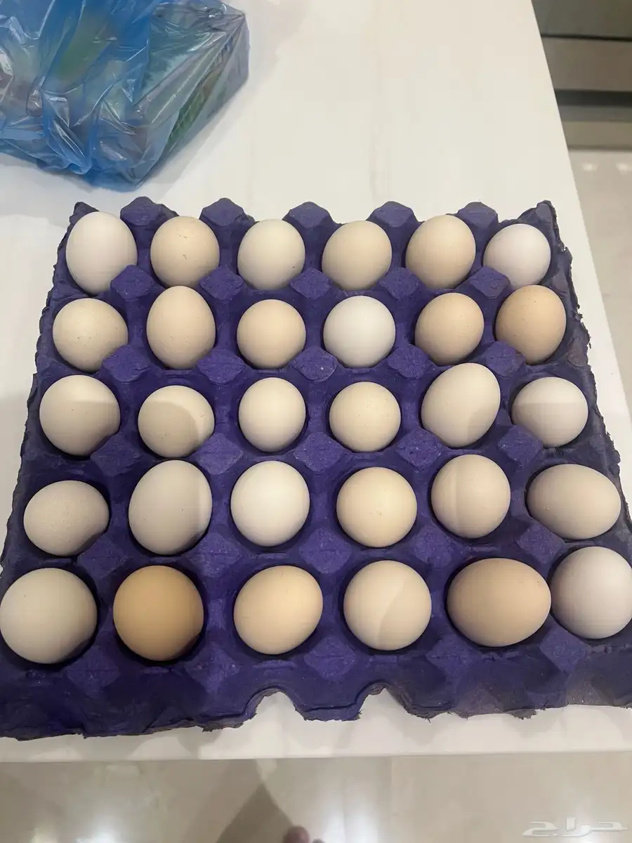 بيض بلدي. السويدي. 20 ريال 0