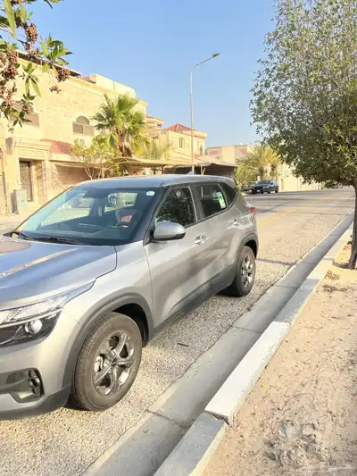 سيلتوس 2