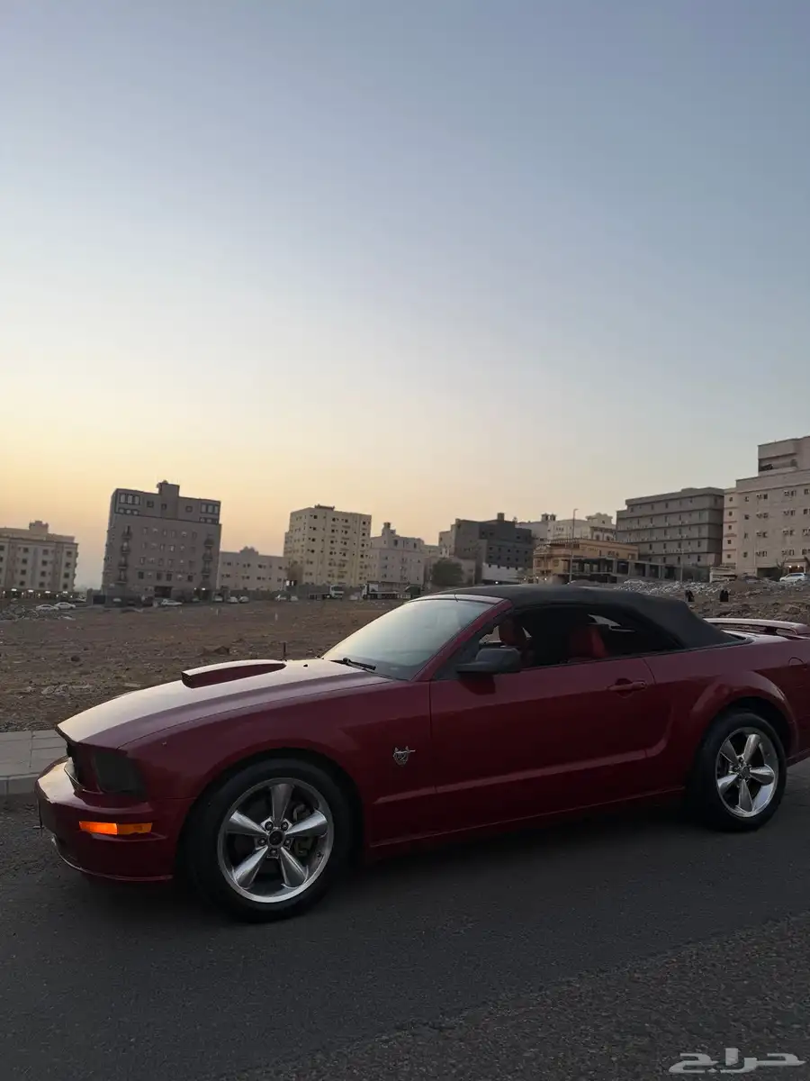 موستنج GT 8 سلندر بودي وكاله كشف index
