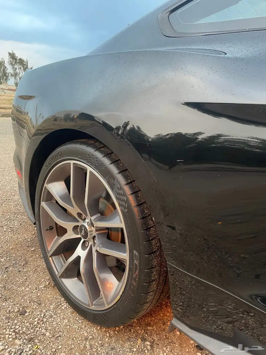 2015 MUSTANG index