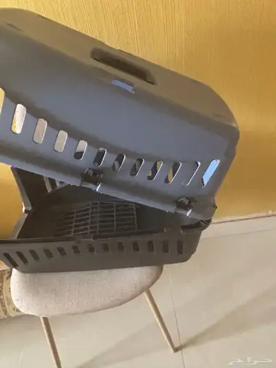 بيت قطه 0