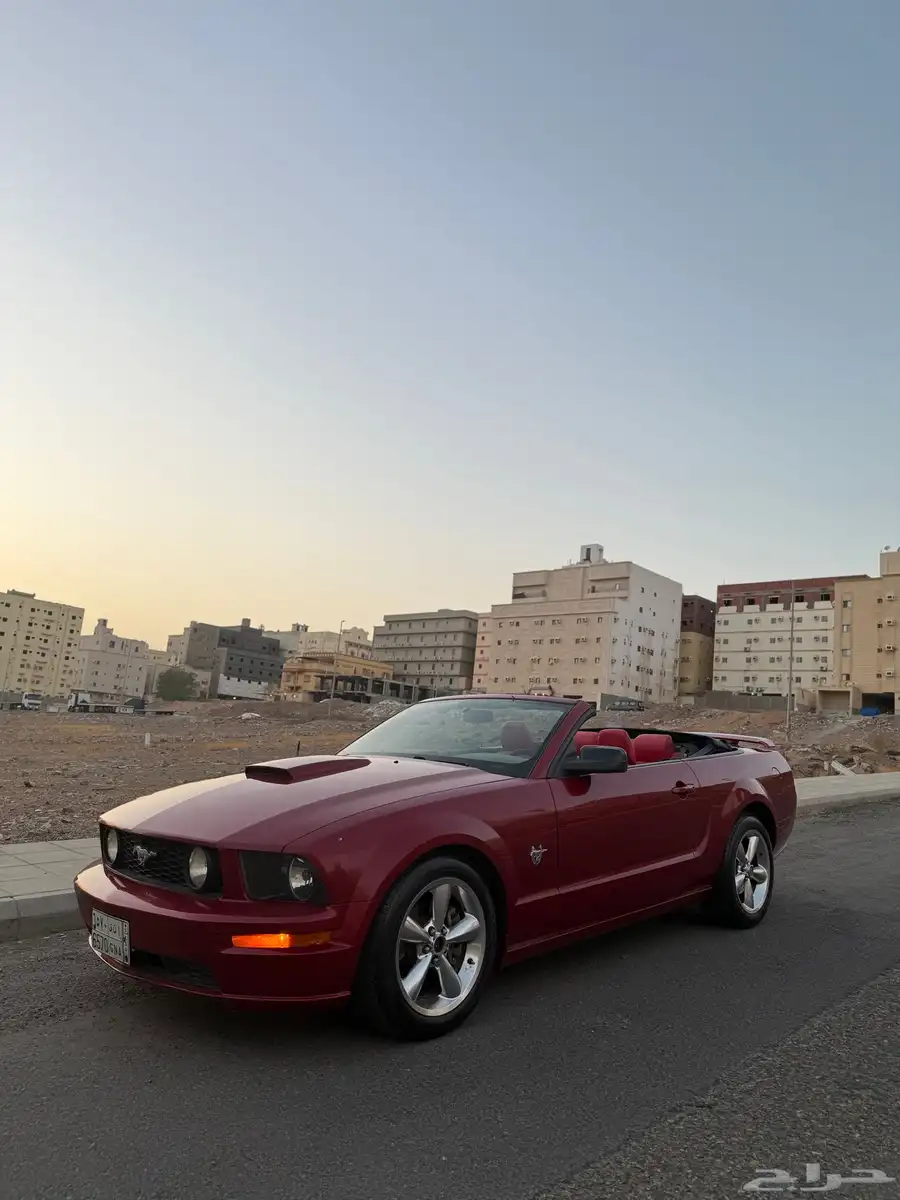 موستنج GT 8 سلندر بودي وكاله كشف index