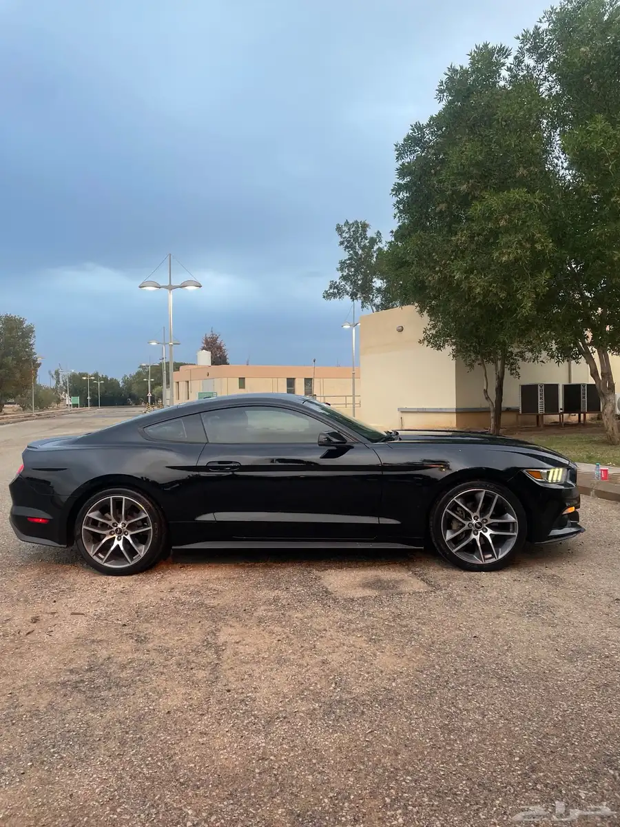 2015 MUSTANG index