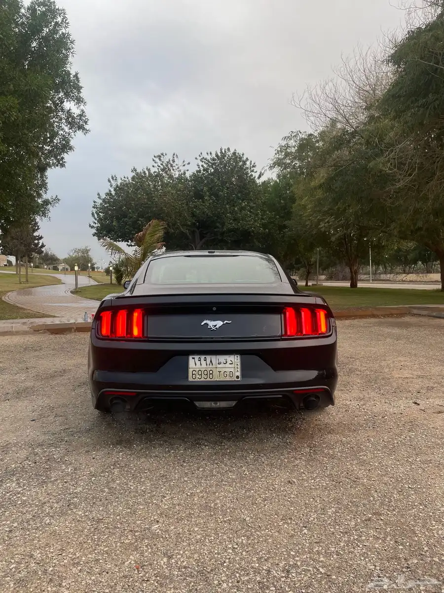 2015 MUSTANG index