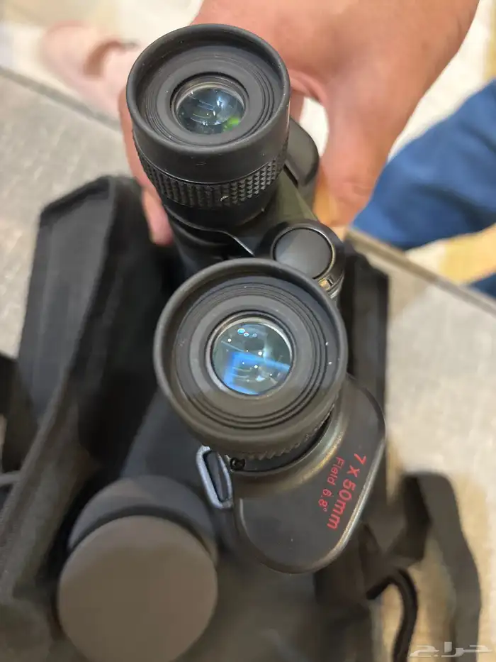 دربيل التاج اصلي يباني تم البيع 2