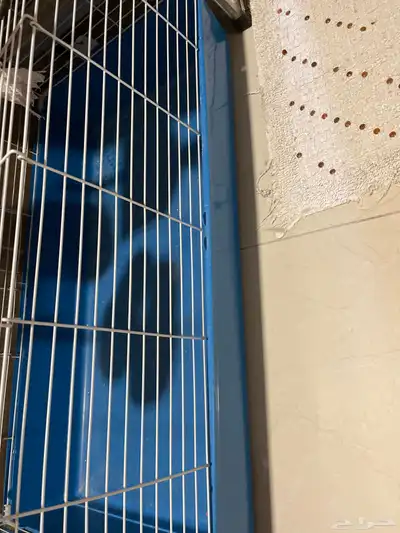 البيع 1