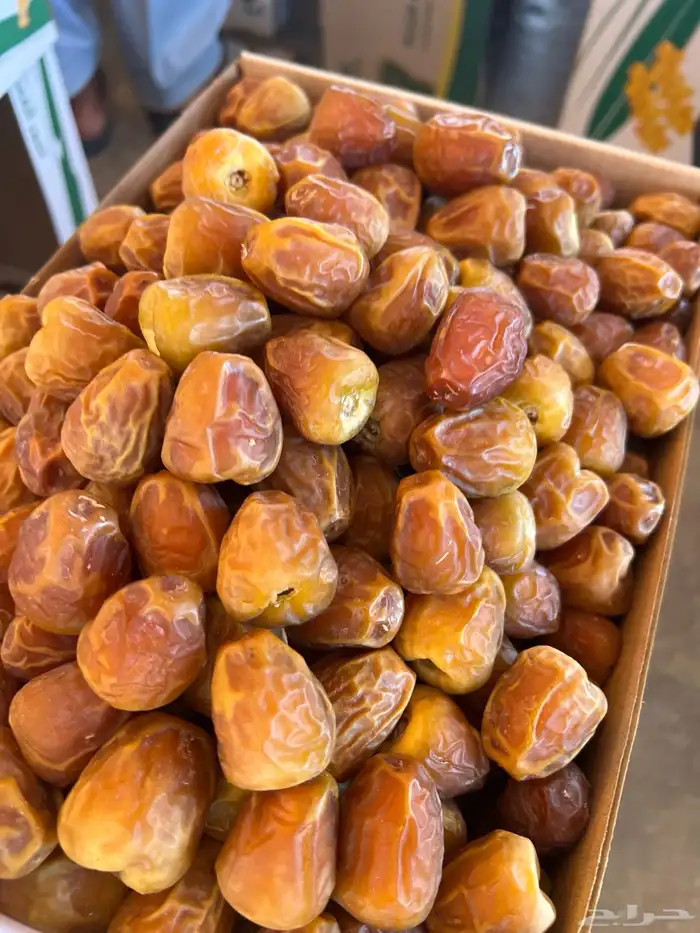 متوفر لدينا جميع انواع التمور 3