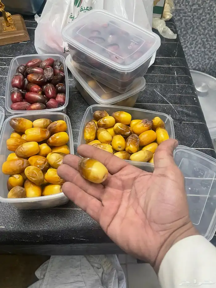 رطب على الطلب 0